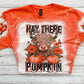 Hay There Pumpkin Bleached Tee